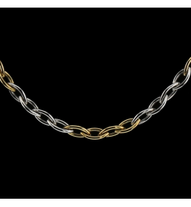 Oval mesh chain 2 golds