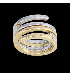 Dinh Van ring, spiral model