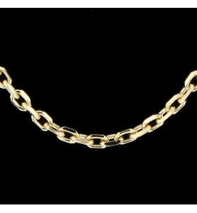Halskette Forciert Gelbgold 45 cm
