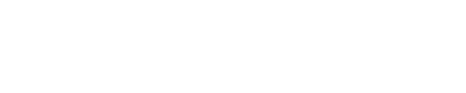Logo Bzxd2iws Copie