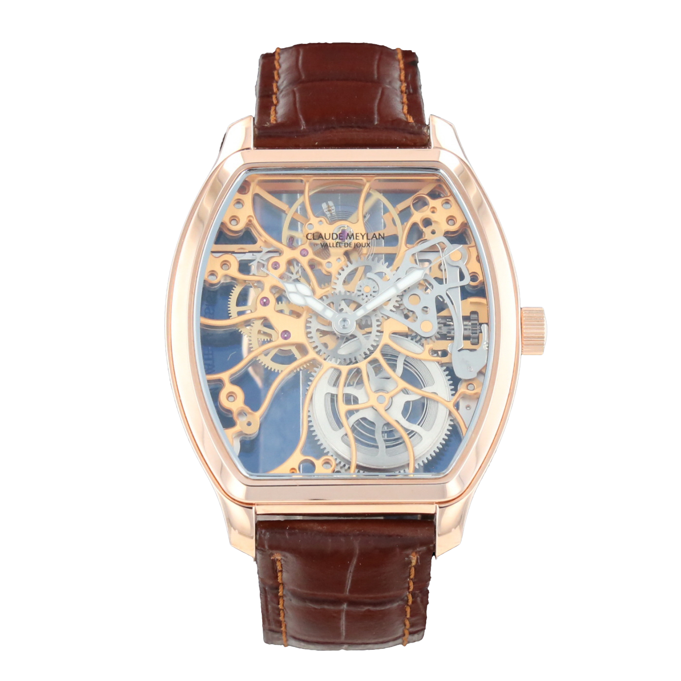 CLAUDE MEYLAN TORTUE DE JOUX