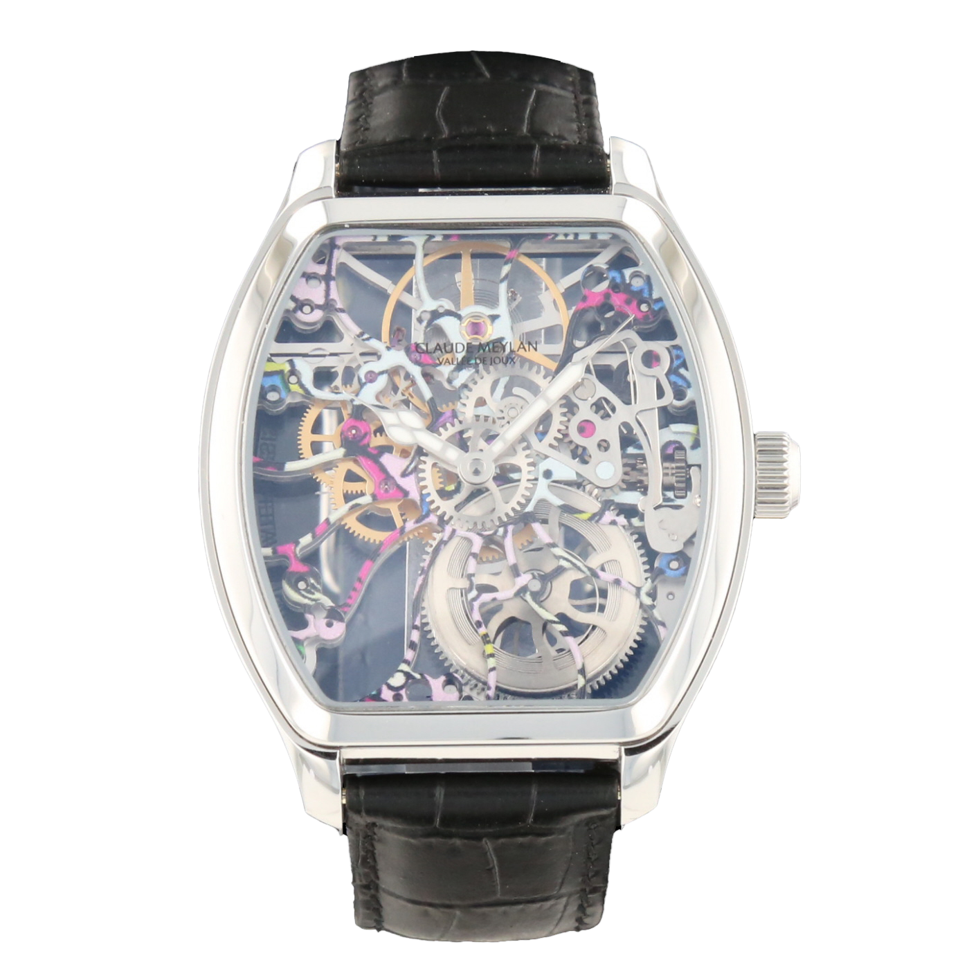 CLAUDE MEYLAN TURTLE OF JOUX CALAVERA