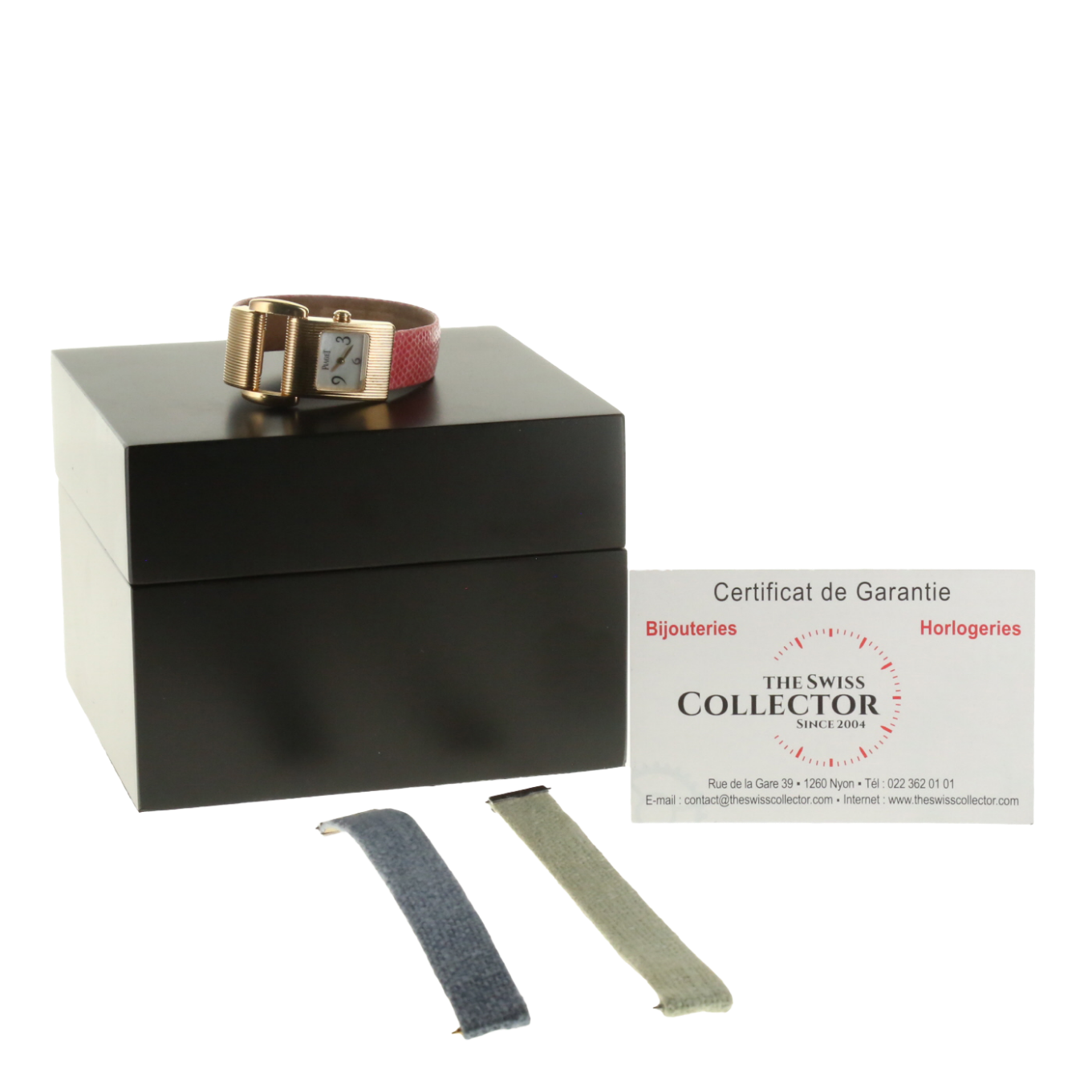 PIAGET_MISS_PROTOCOL image