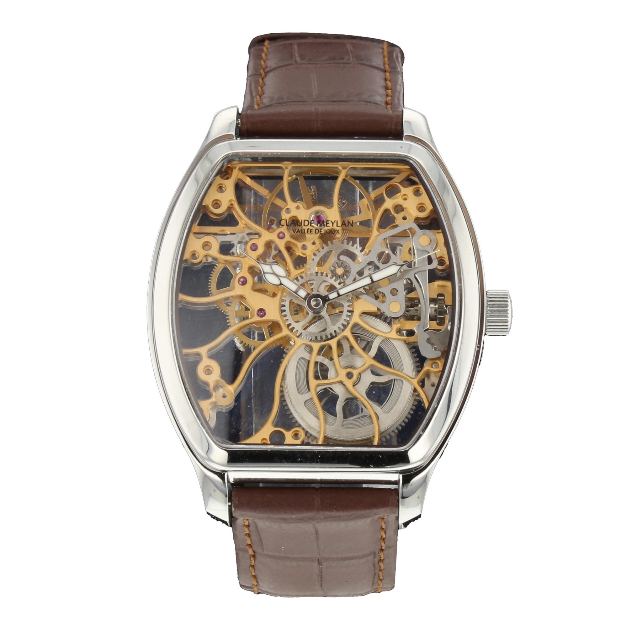 CLAUDE MEYLAN TORTUE DE JOUX