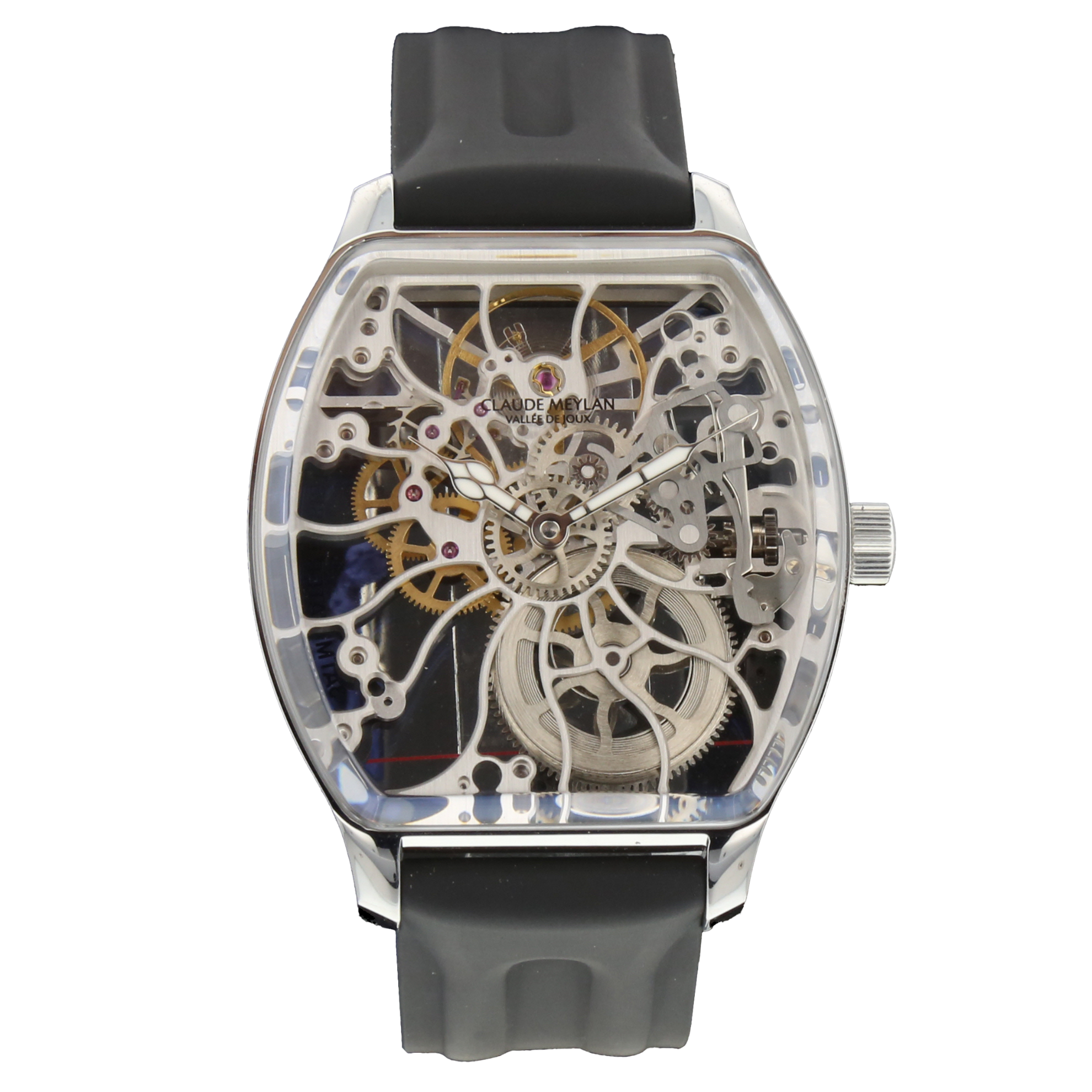 CLAUDE MEYLAN TURTLE SKELETON