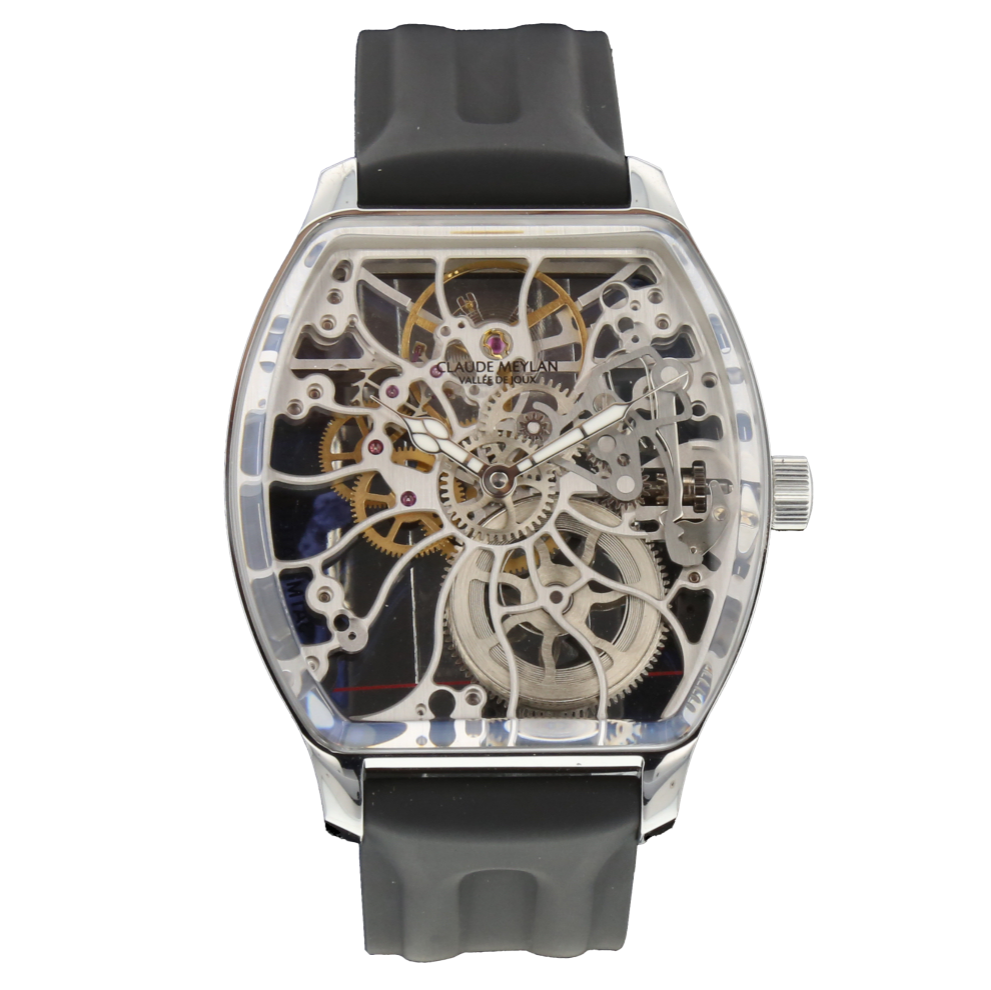 CLAUDE_MEYLAN_SQUELETTE_TORTUE image