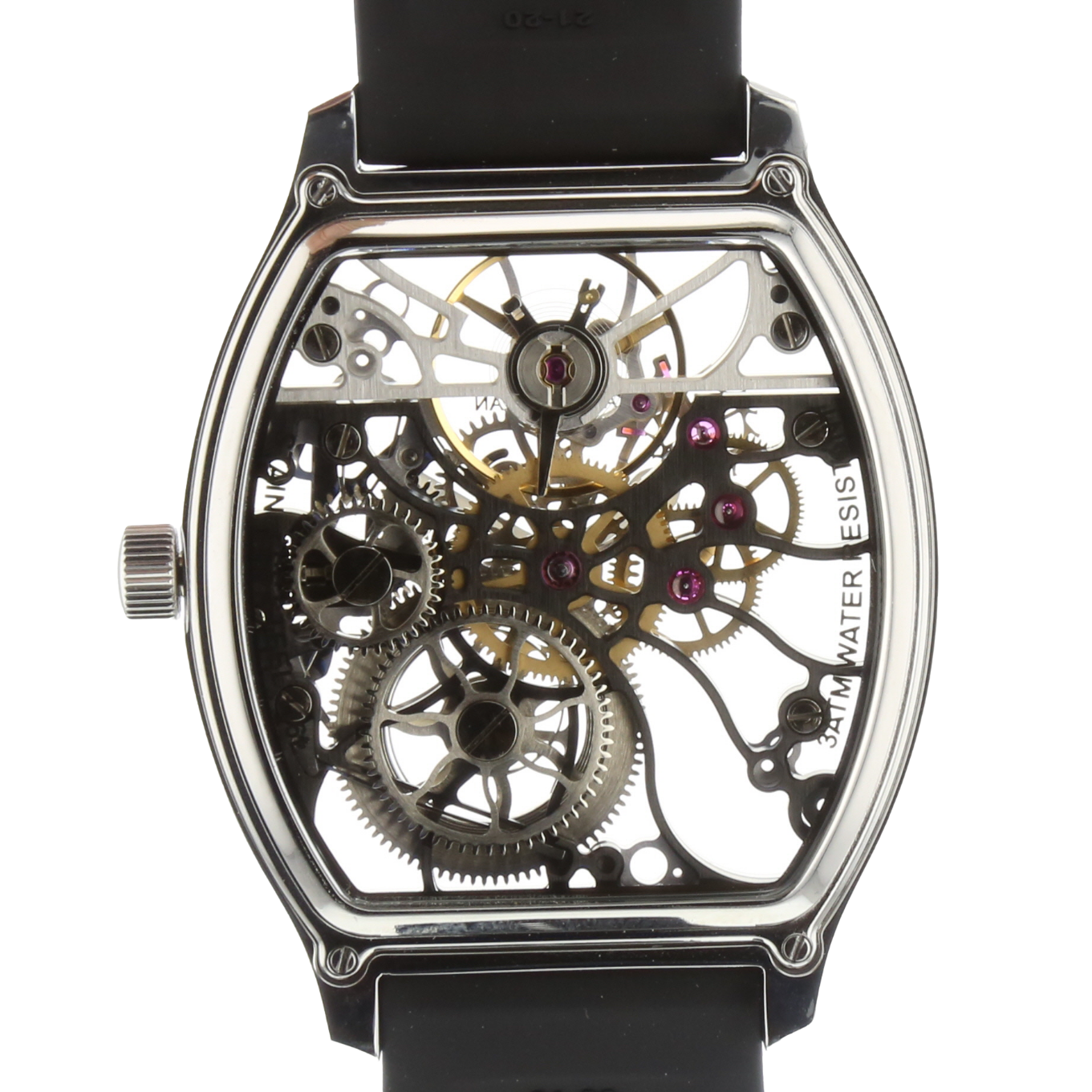 CLAUDE_MEYLAN_SQUELETTE_TORTUE image