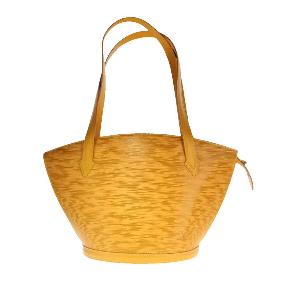 SAC_LOUIS_VUITTON_SAINT_JACQUES image
