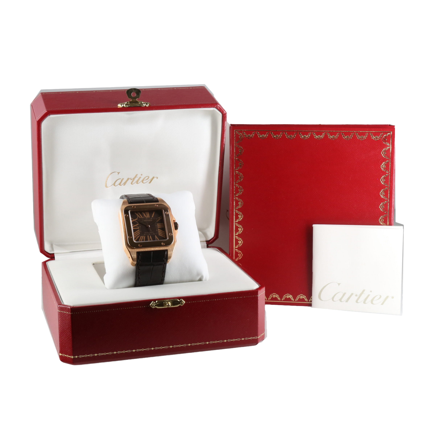 CARTIER_SANTOS_100 image