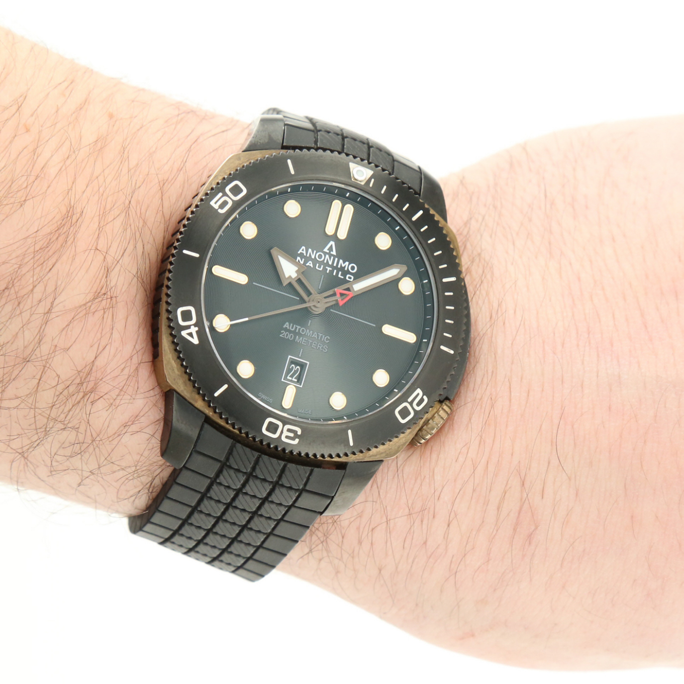 ANONIMO_NAUTILO_BRONZE image