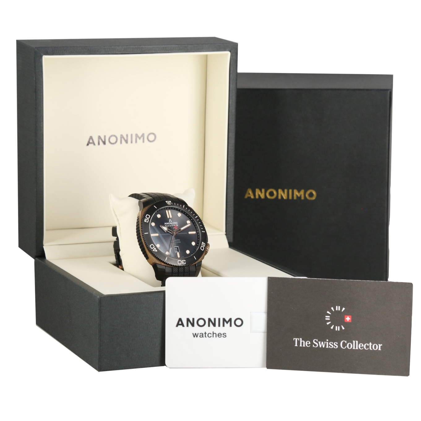 ANONIMO_NAUTILO_BRONZE image