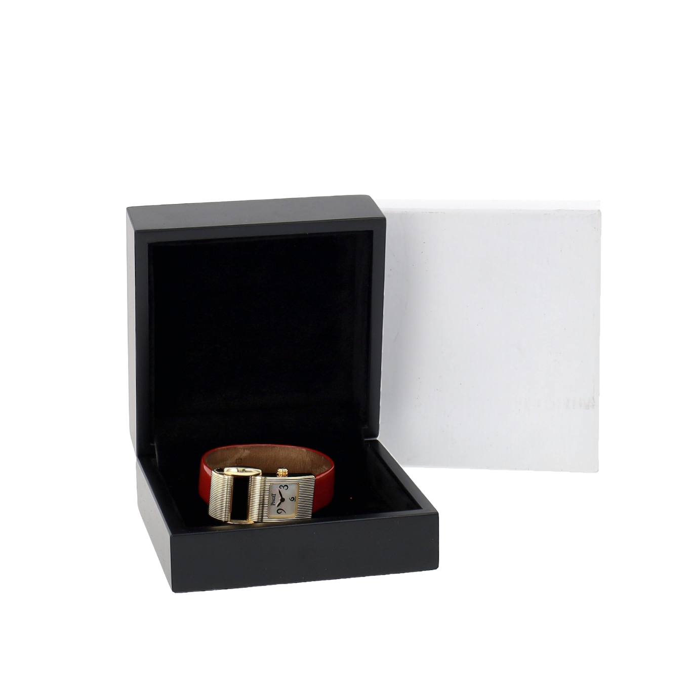 PIAGET_MISS_PROTOCOLE image