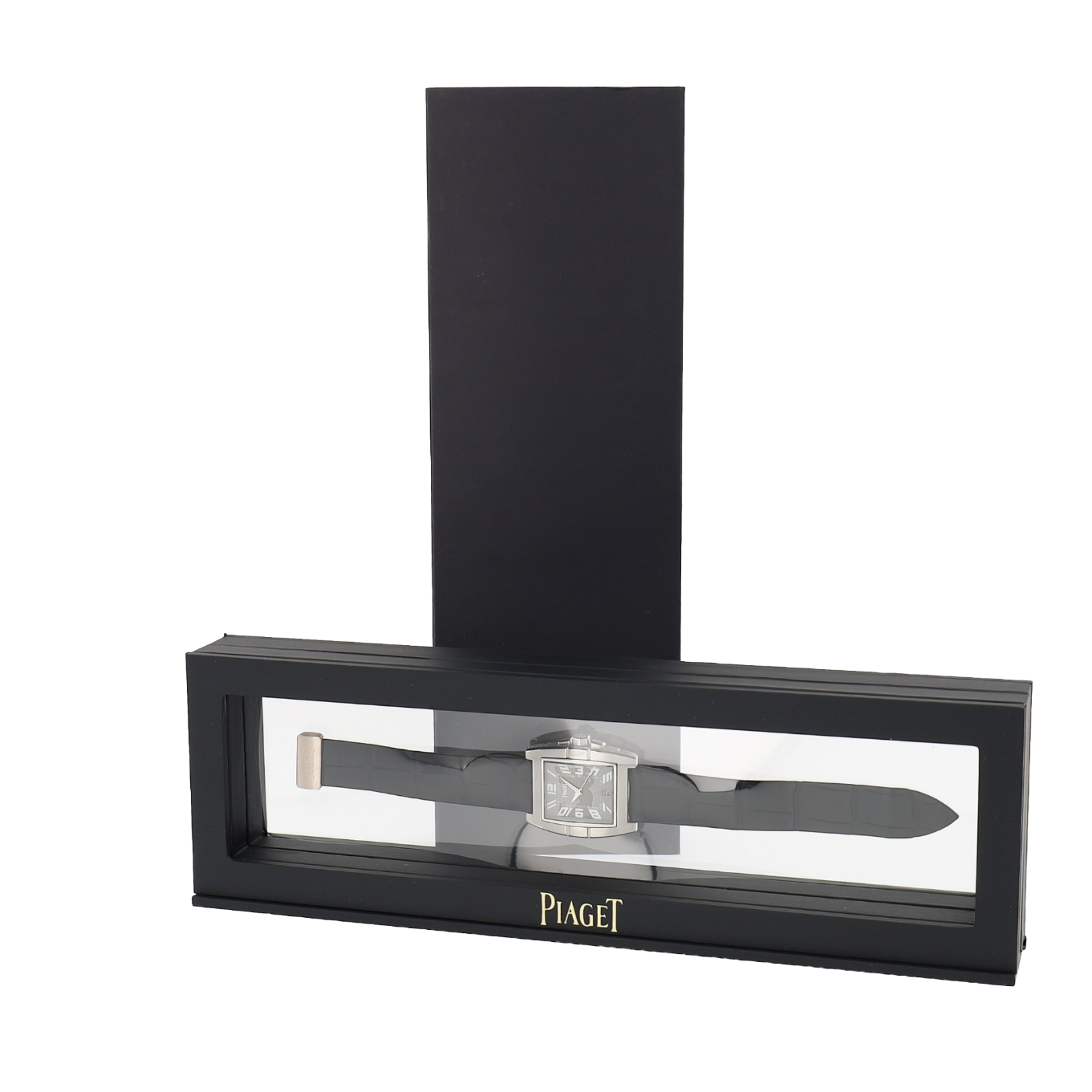 PIAGET_UPSTREAM image