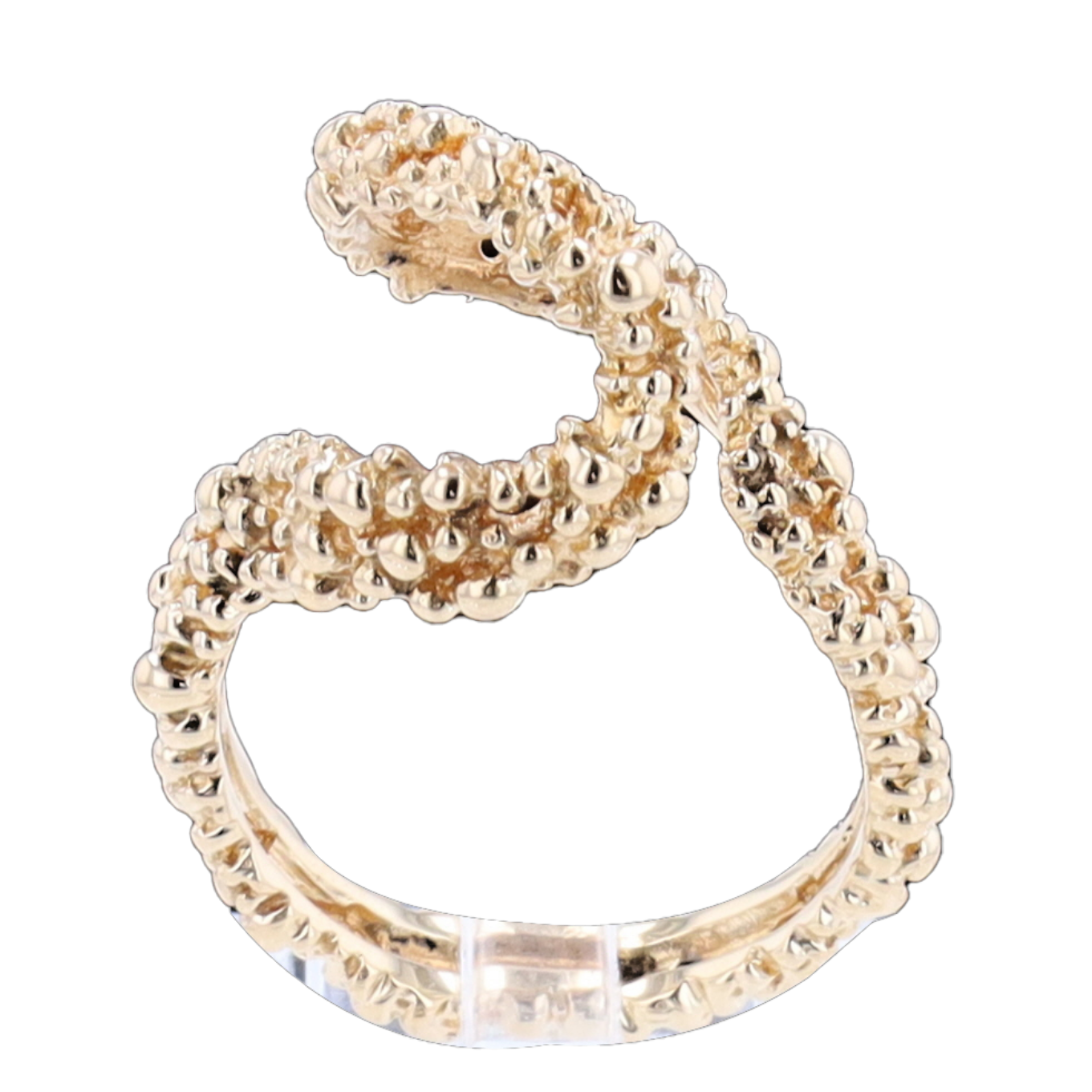 BAGUE_GILBERT_ALBERT image