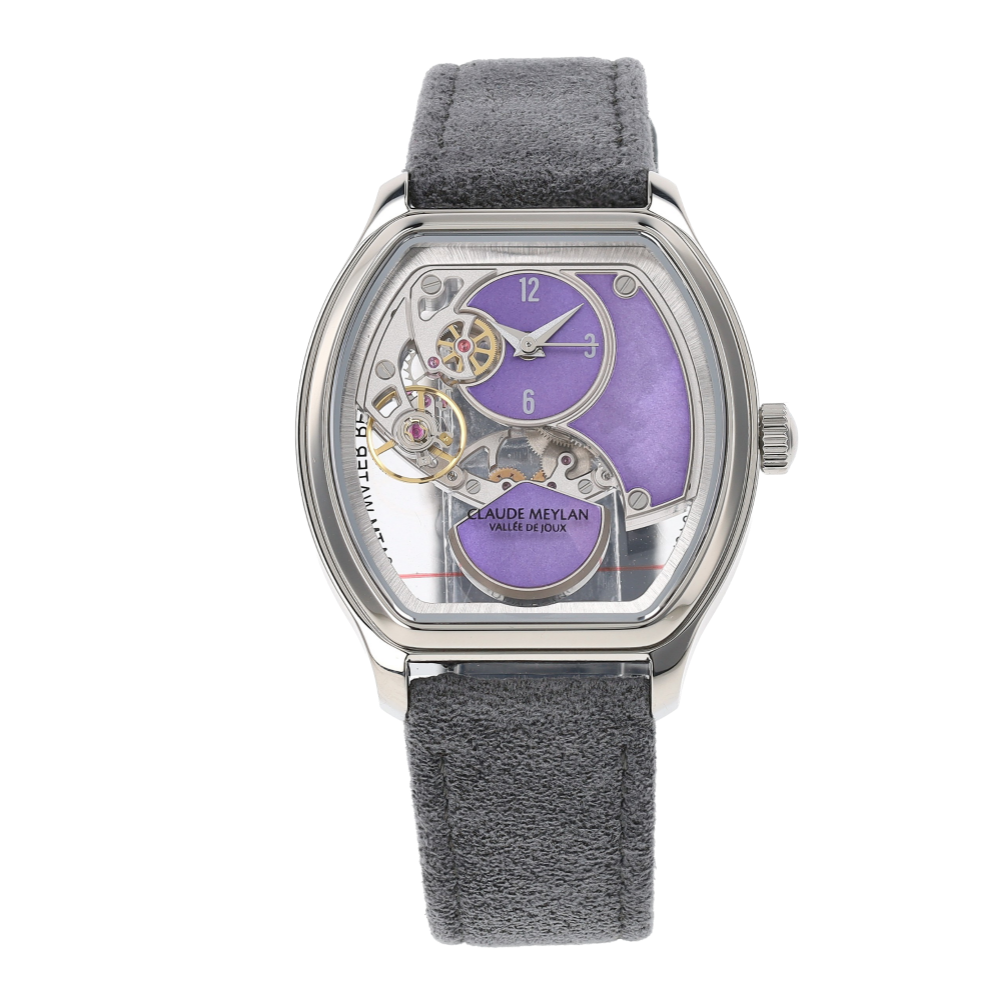 CLAUDE_MEYLAN_TORTUE_MICRO-ROTOR image