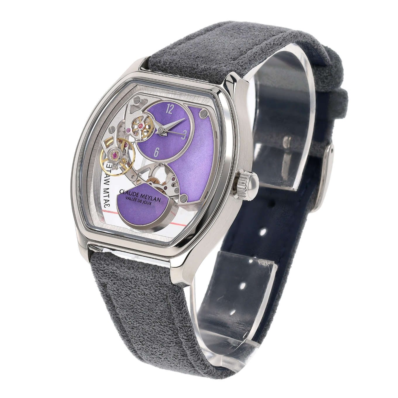 CLAUDE_MEYLAN_TORTUE_MICRO-ROTOR image