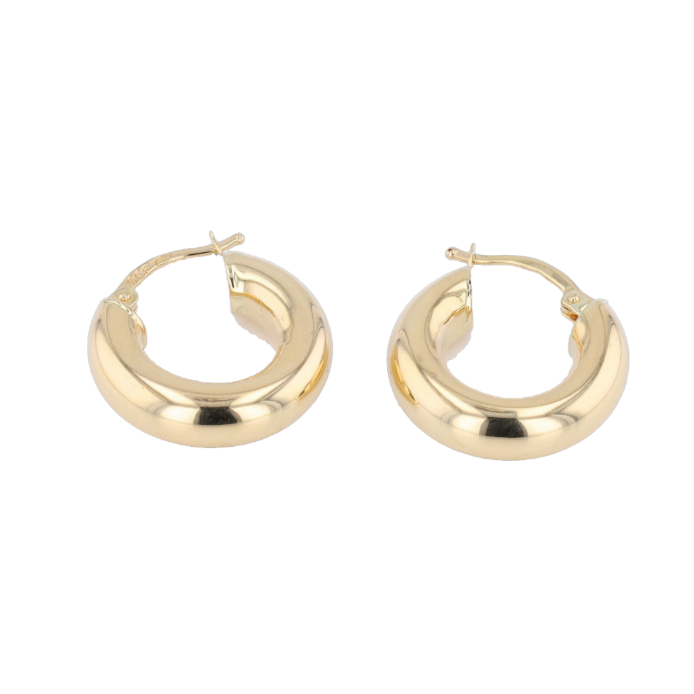 BOUCLES_D'OREILLES_CREOLES image