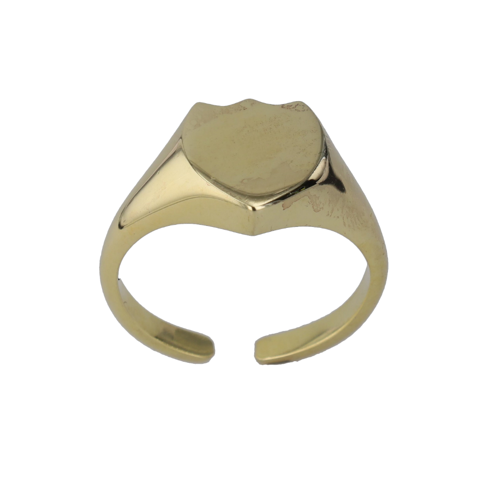 BAGUE_CHEVALIERE_HAUTVILLERS image