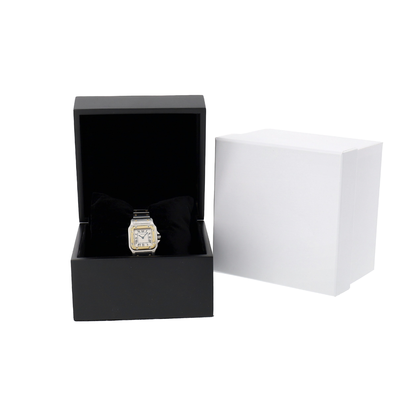 CARTIER_SANTOS_GALBEE image