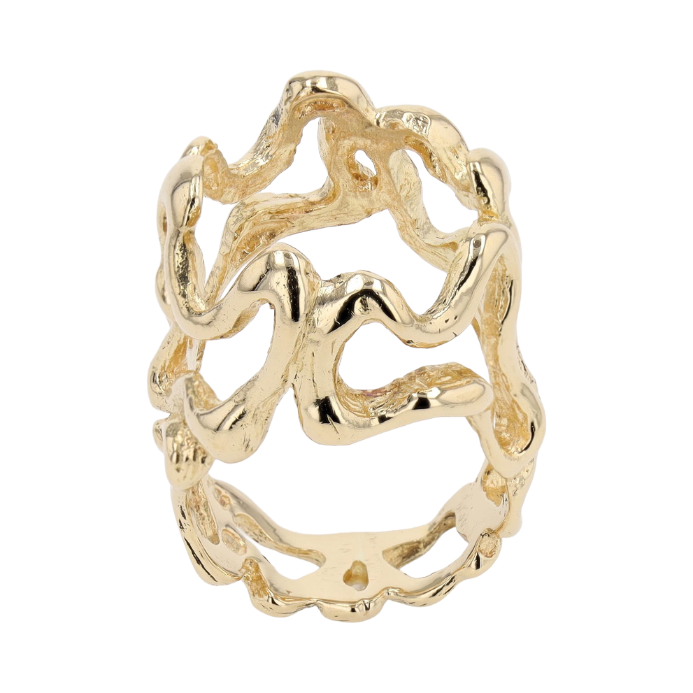 BAGUE_GILBERT_ALBERT image